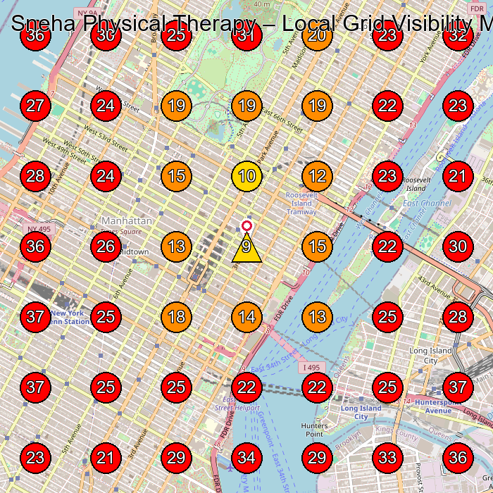 Sneha Physical Therapy GeoGrid visibility map for Physical Therapist in New York